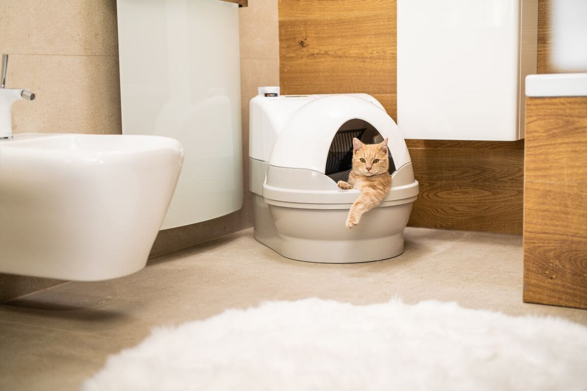 automatická toaleta s poklopem