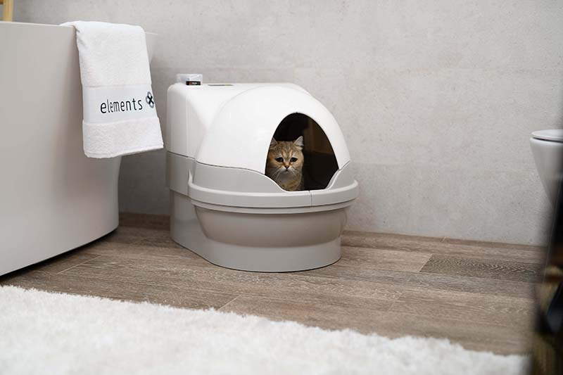toaleta pro kočky s poklopem