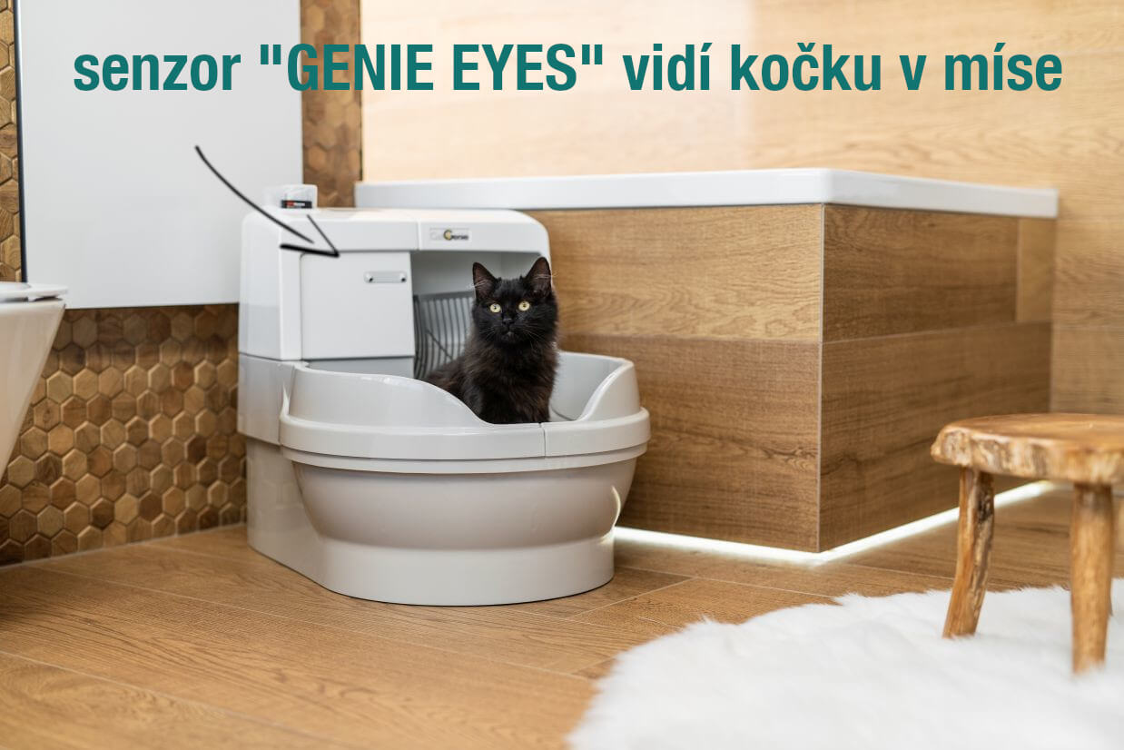 automatické wc pro kočky automatické wc pro kočky